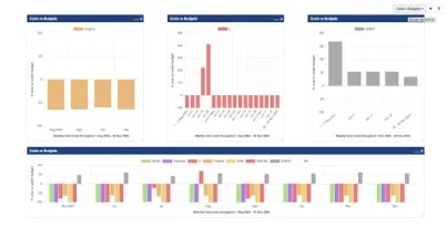 Dashboard Of Graphs For Budgeting And Costing